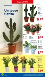 Volantino Lidl settimana 21 Pagina 36