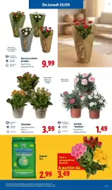 Volantino Lidl settimana 21 Pagina 37