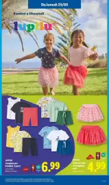 Volantino Lidl settimana 21 Pagina 43
