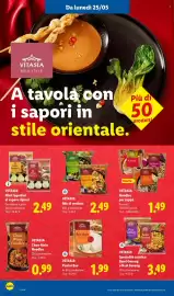 Volantino Lidl settimana 21 Pagina 48