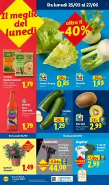 Volantino Lidl settimana 21 Pagina 54