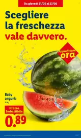 Volantino Lidl settimana 21 Pagina 6