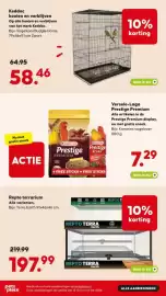 Pets Place folder Pagina 13