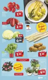 Combi Prospekt woche 21 Seite 3