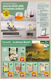 REWE Kaufpark Prospekt woche 21 Seite 13