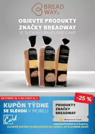 Kaufland leták týden 21 Strana 19