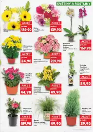 Kaufland leták týden 21 Strana 9