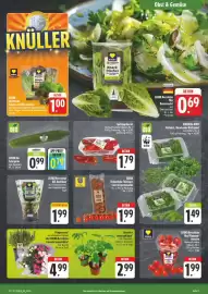 Edeka Aktiv Markt Prospekt woche 21 Seite 13