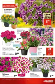 Hellweg Prospekt woche 21 Seite 15