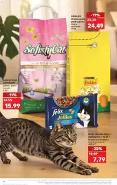 Catalog Kaufland săptămâna 21 Pagină 64