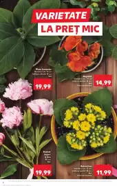 Catalog Kaufland săptămâna 21 Pagină 8