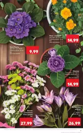 Catalog Kaufland săptămâna 21 Pagină 9