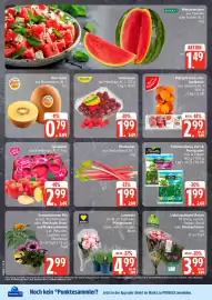 Edeka24 Prospekt woche 21 Seite 8