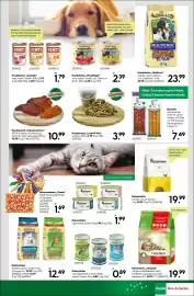 BayWa Bau & Garten Prospekt woche 21 Seite 13