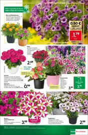 BayWa Bau & Garten Prospekt woche 21 Seite 15