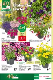 BayWa Bau & Garten Prospekt woche 21 Seite 16