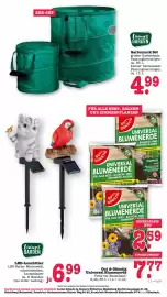 Scheck-in-Center Prospekt woche 21 Seite 70