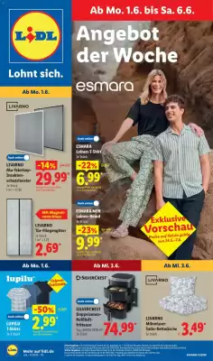 Lidl (gültig bis 6-06)