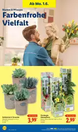 Lidl Prospekt woche 23 Seite 68