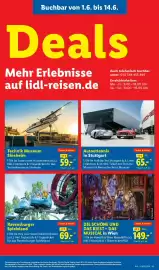 Lidl Prospekt woche 23 Seite 71