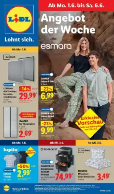 Lidl (gültig bis 6-06)