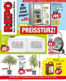 Repo Markt Prospekt woche 21 Seite 1