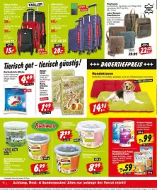 Repo Markt Prospekt woche 21 Seite 10