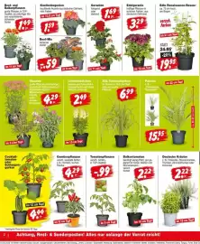 Repo Markt Prospekt woche 21 Seite 2