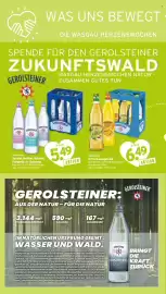Wasgau Prospekt woche 21 Seite 22