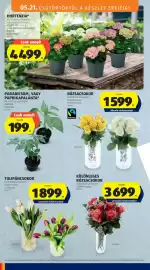 ALDI akciós újság hét 21 Oldal 8