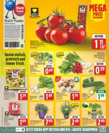 Edeka DE folder week 21 Pagina 4