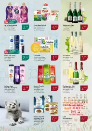 Dornseifer Prospekt woche 21 Seite 14