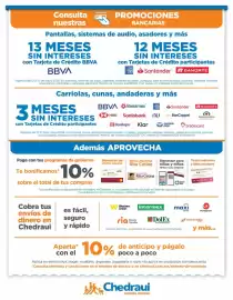 Folleto Chedraui Página 13