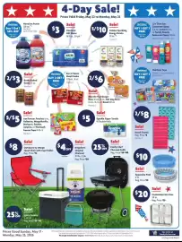 Family Dollar weekly ad week 21 Page 2