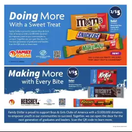 Family Dollar weekly ad week 21 Page 8