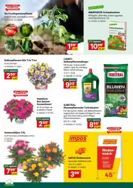Lagerhaus Flugblatt Seite 2