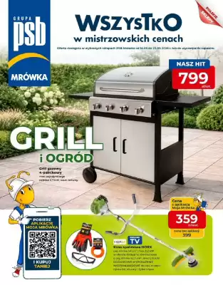 Mrówka gazetka (ważność do 23-05)