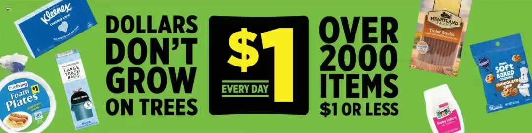 Dollar General weekly ad week 21 Page 3
