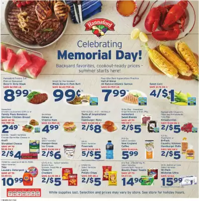 Hannaford (valid until 23-05)