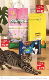 Catalog Kaufland săptămâna 21 Pagină 64