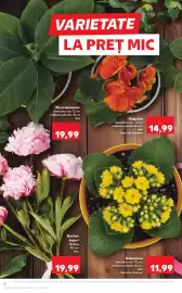 Catalog Kaufland săptămâna 21 Pagină 8