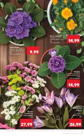 Catalog Kaufland săptămâna 21 Pagină 9