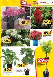 Bricomarche gazetka Strona 9