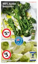 Coles catalogue week 21 Page 19