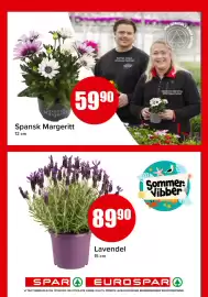 Eurospar kundeavis uke 21 Side 15
