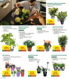 Horta folder Pagina 8