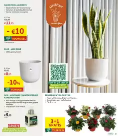 Horta folder Pagina 9
