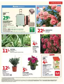 Auchan folder Pagina 5