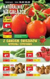 Biedronka gazetka tydzień 21 Strona 26