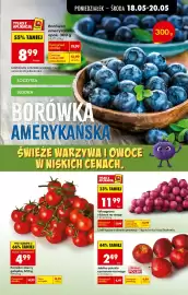 Biedronka gazetka tydzień 21 Strona 27